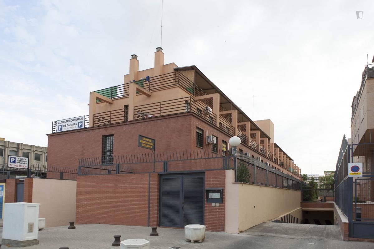 Pis de lloguer, Sevilla