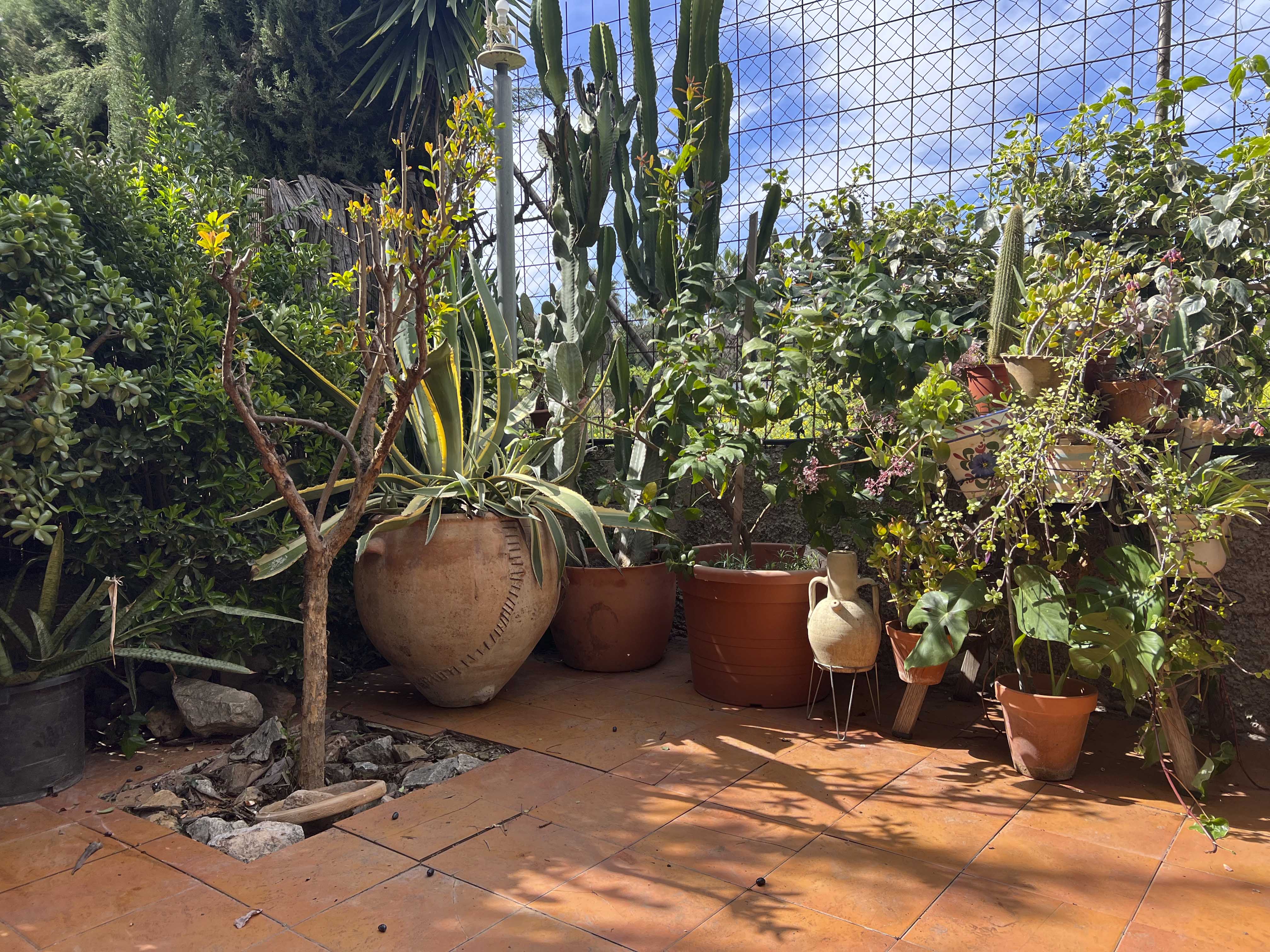Habitación 500 m², Murcia