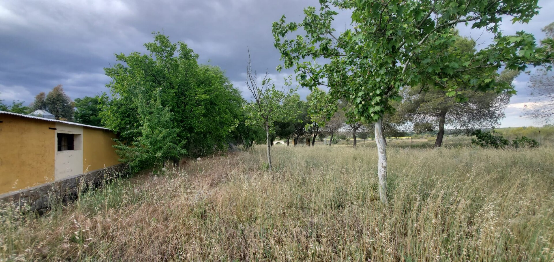 Pis de 13400 m² a Bargas