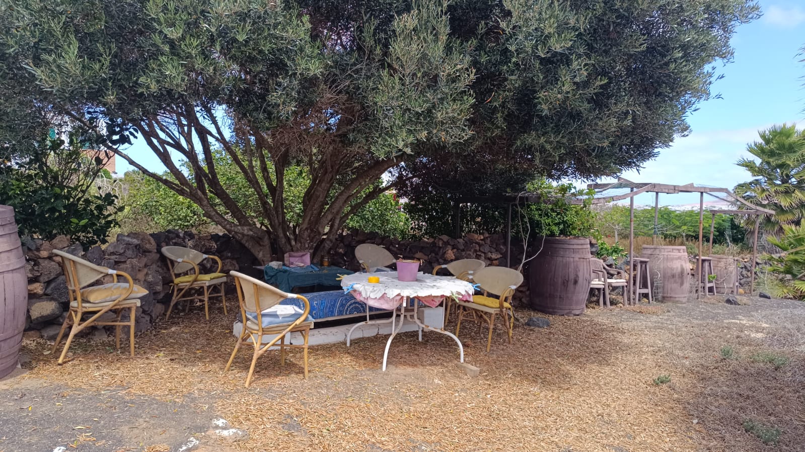 Habitació de lloguer, Teguise