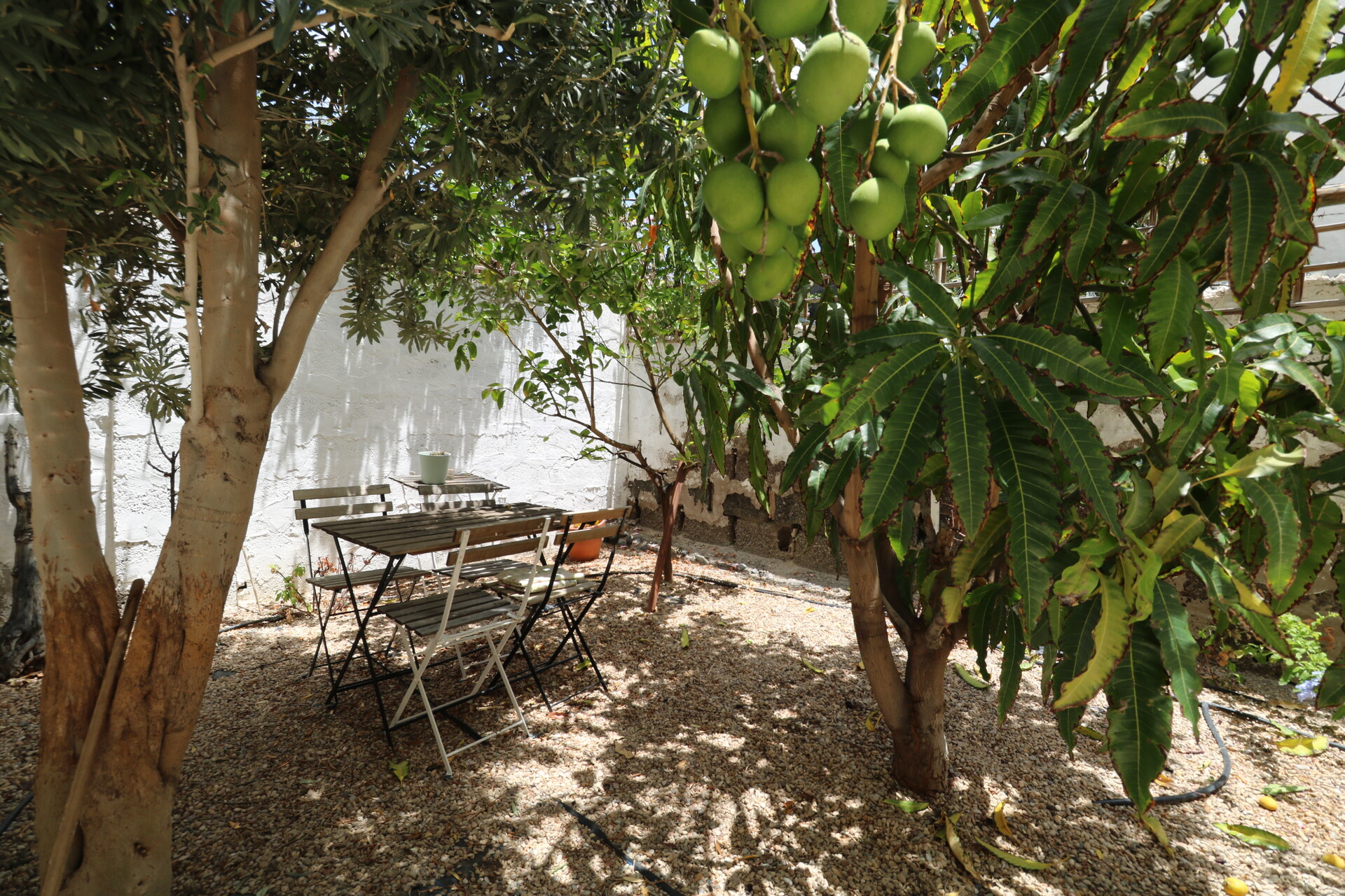 Piso de 40 m² en Agaete