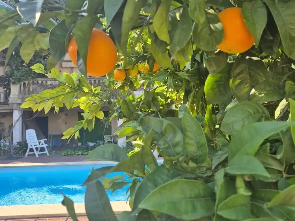 Pis de 142 m² a Calvià