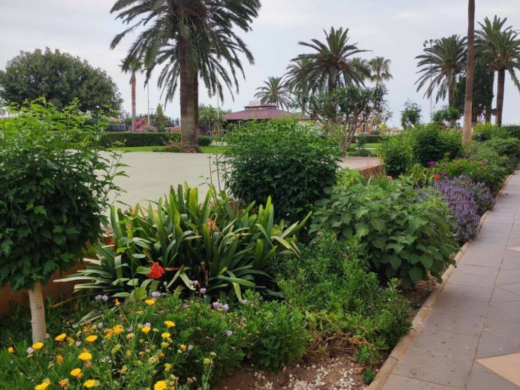 Pis de 45 m² a Algarrobo