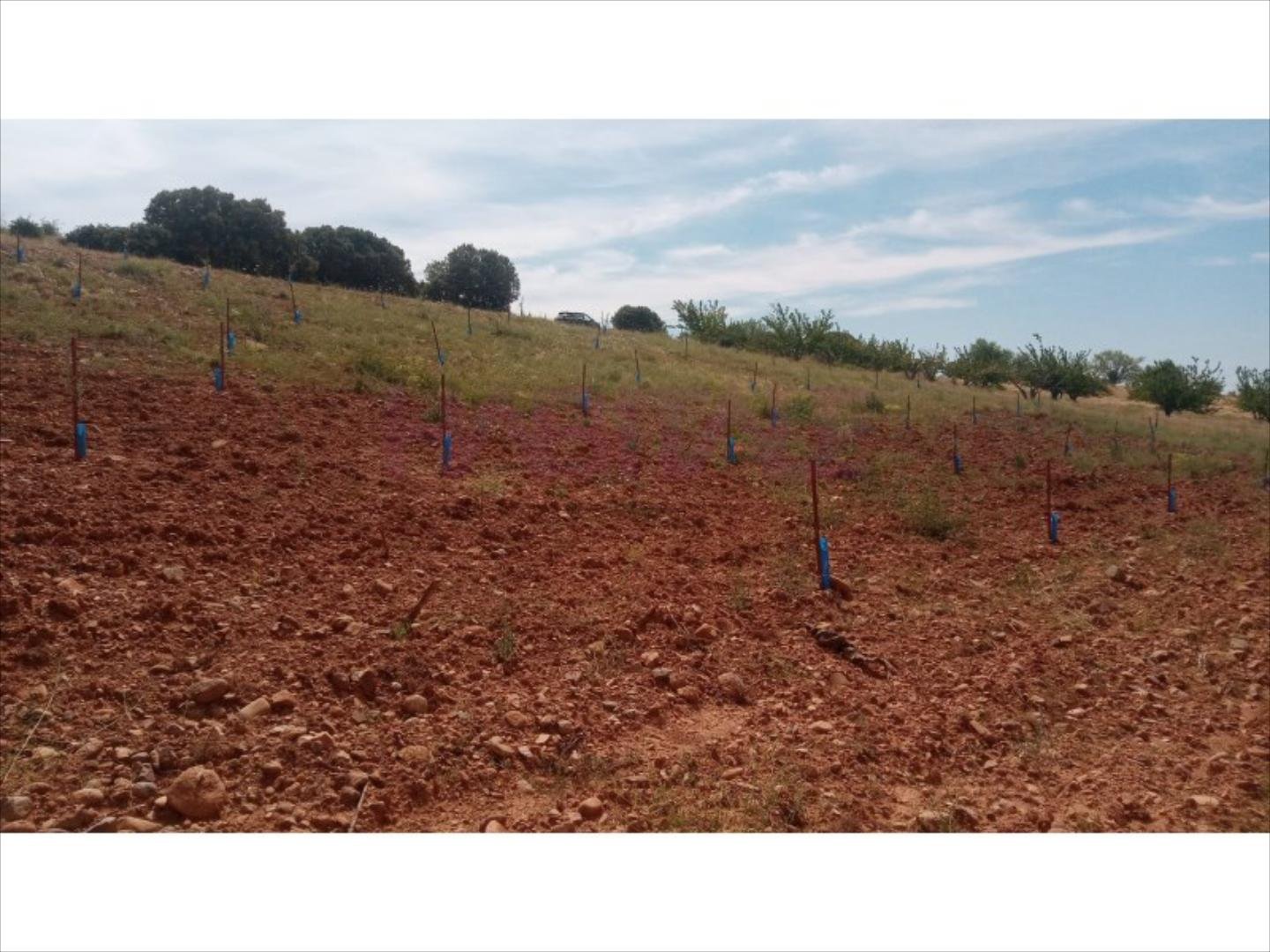Pis de 3383 m² a Clarés de Ribota