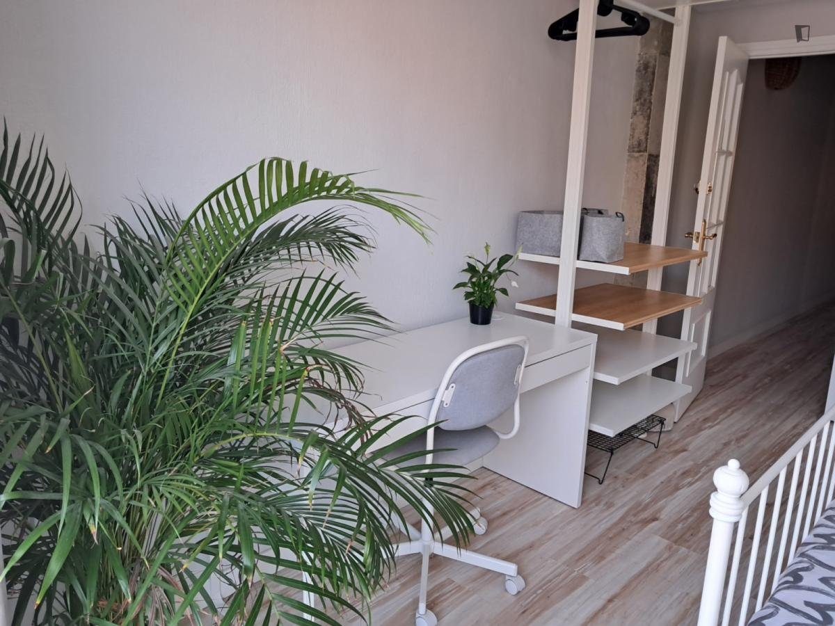 Habitació de lloguer, Alacant