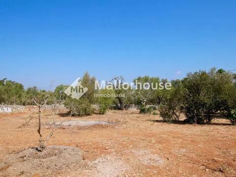 Piso de 70 m² en Santa Margalida