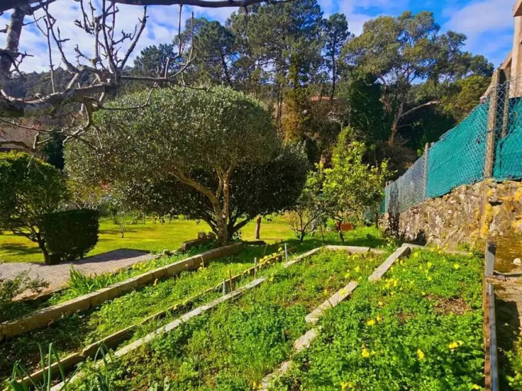 House 300 m² in Cangas de Morrazo