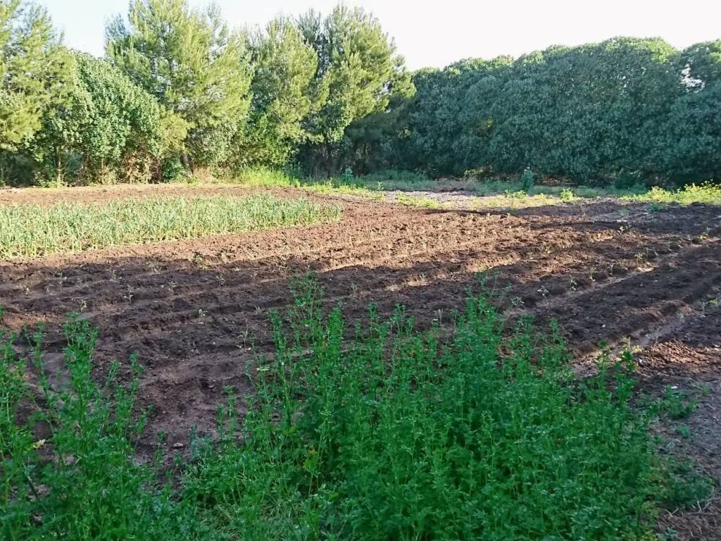 Casa de 145 m² en Sa Pobla