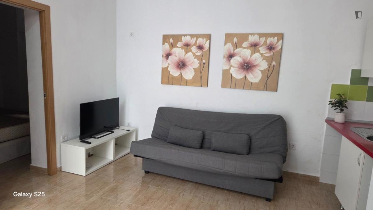 Room for rent, Seville