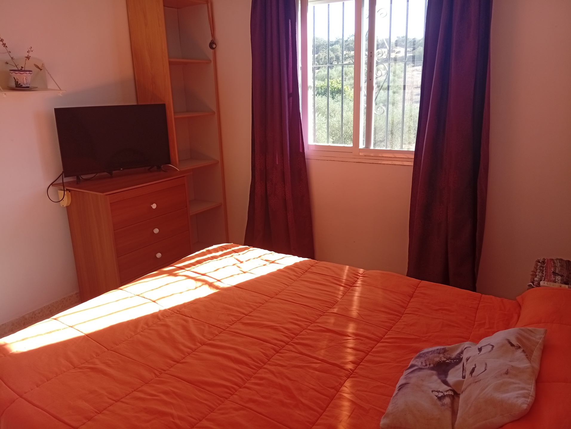 Habitació de lloguer, Villar del Rey