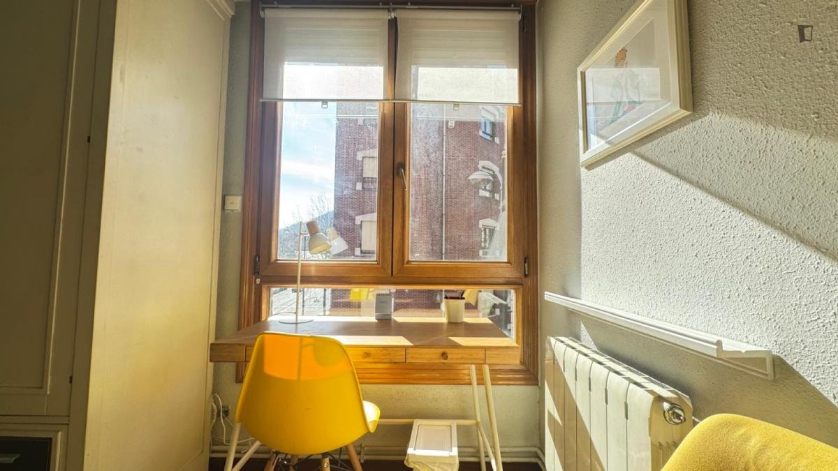 Habitació de lloguer, Bilbao