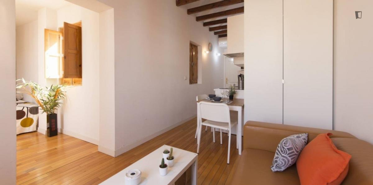 Pis de 36 m² a Madrid