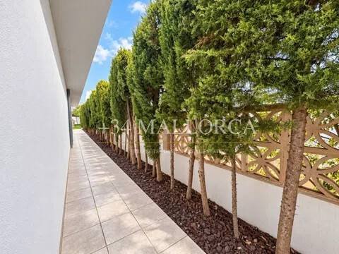Casa de 253 m² en Campos