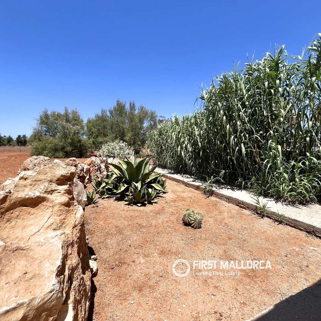 Piso de 78 m² en Campos