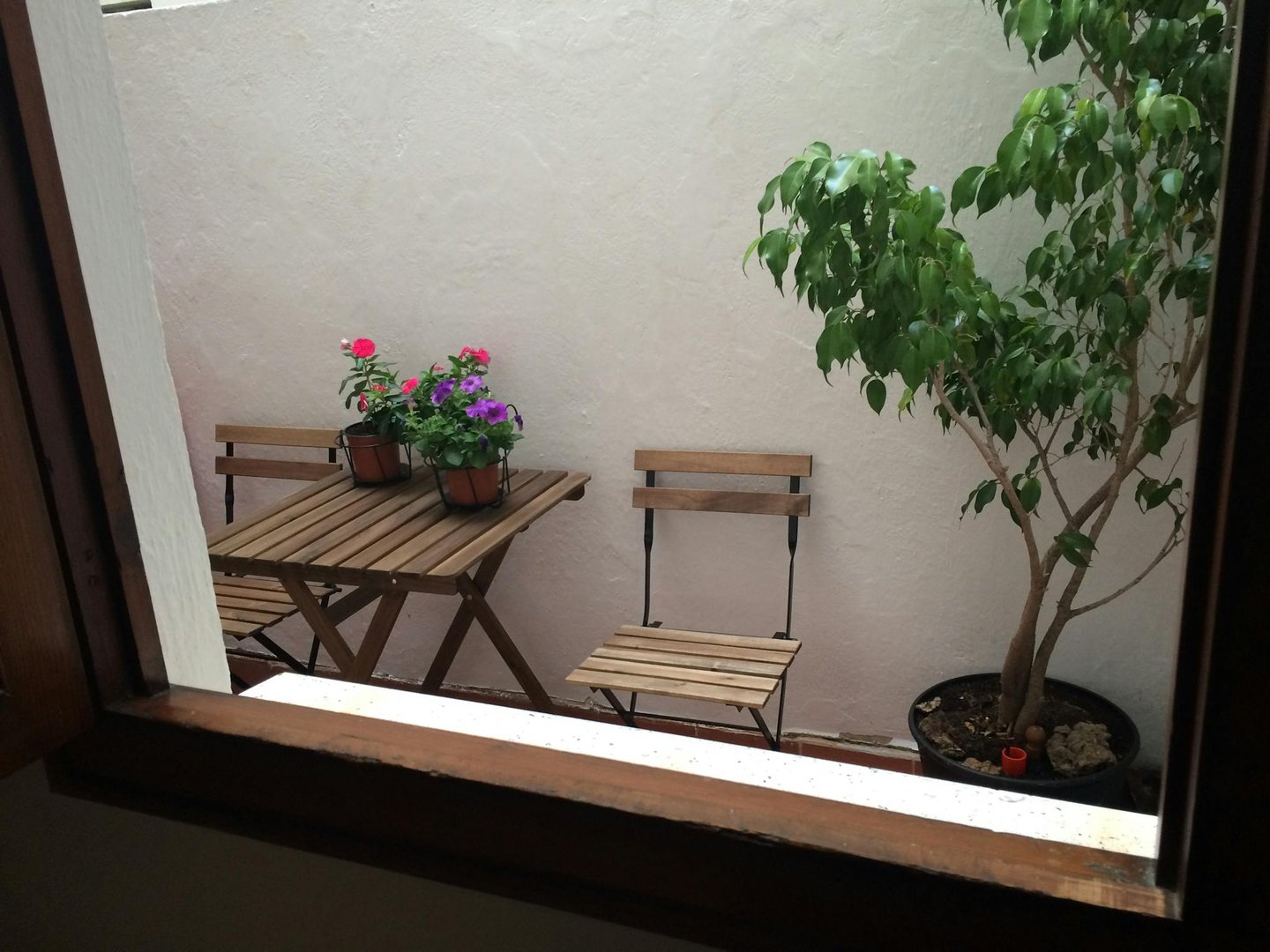 Stanza in affitto, Valencia