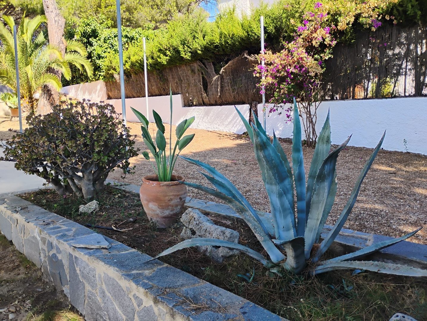 Casa de 250 m² en Cartaya