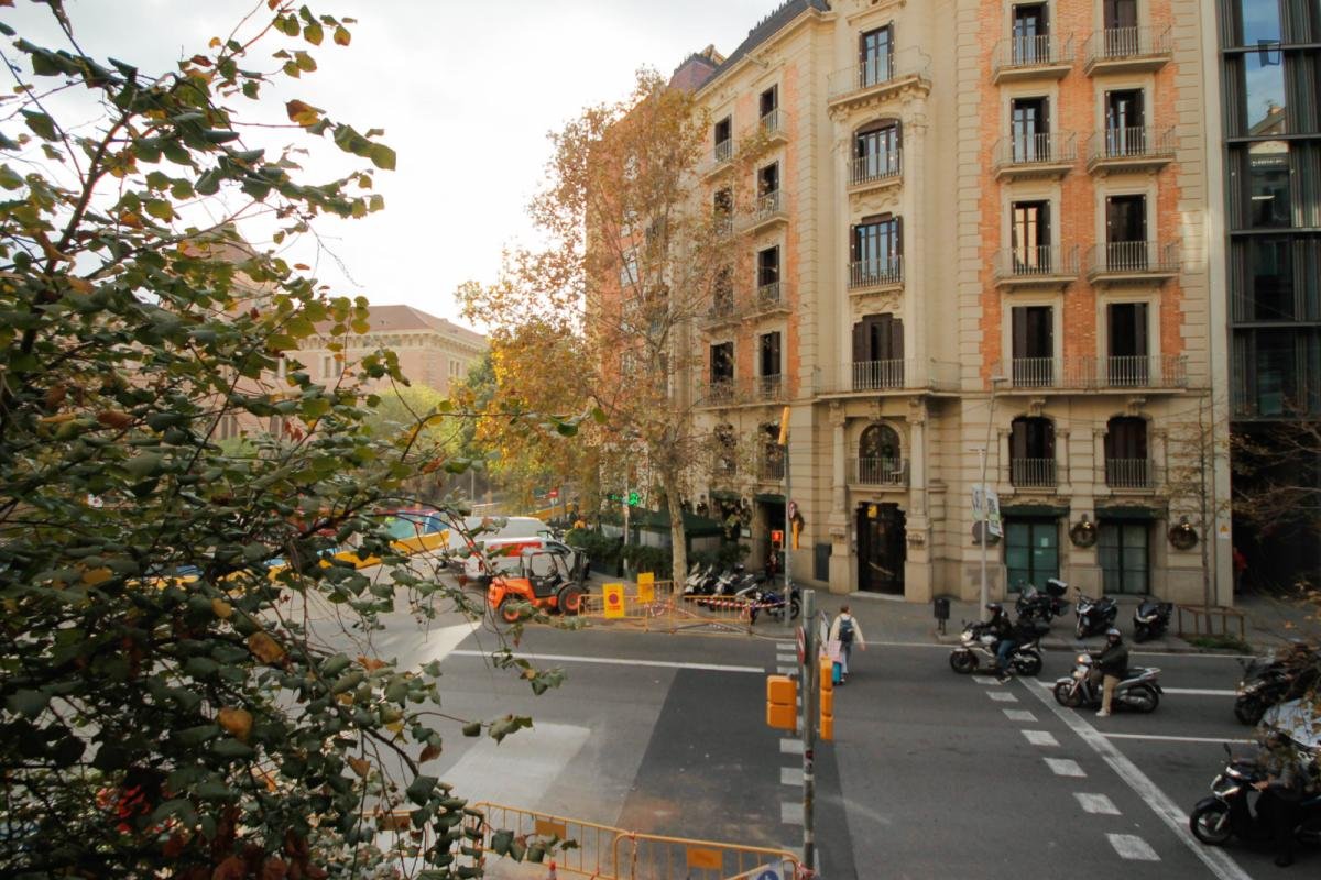Stanza in affitto, Barcelona