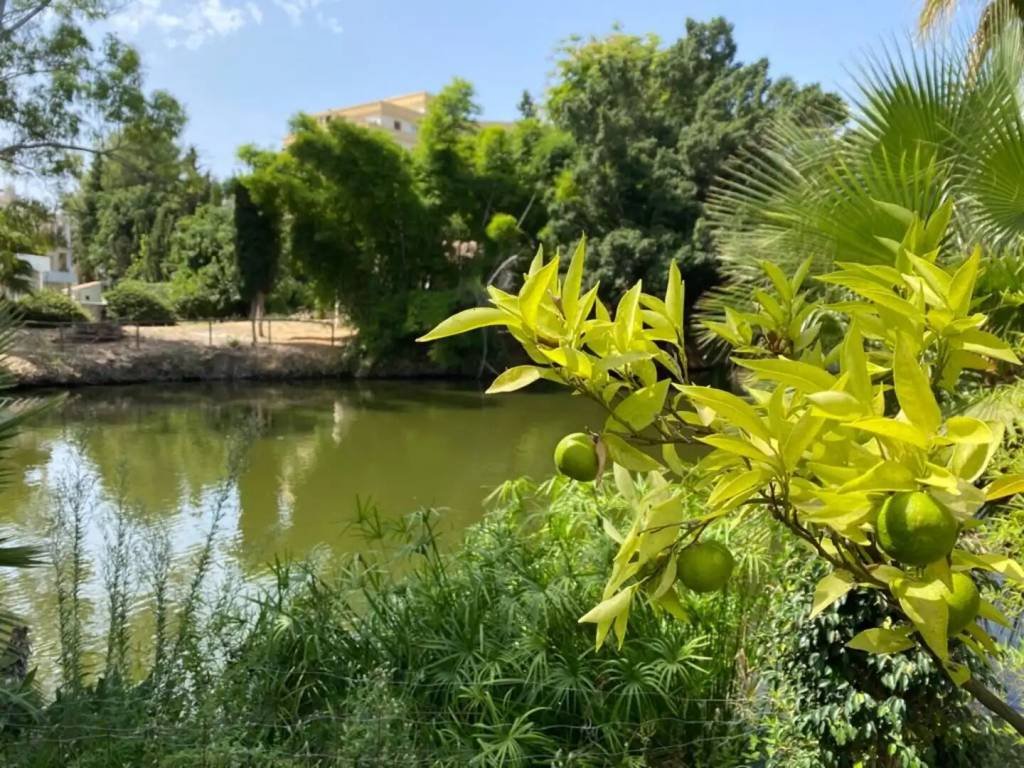Casa de 300 m² en Marbella