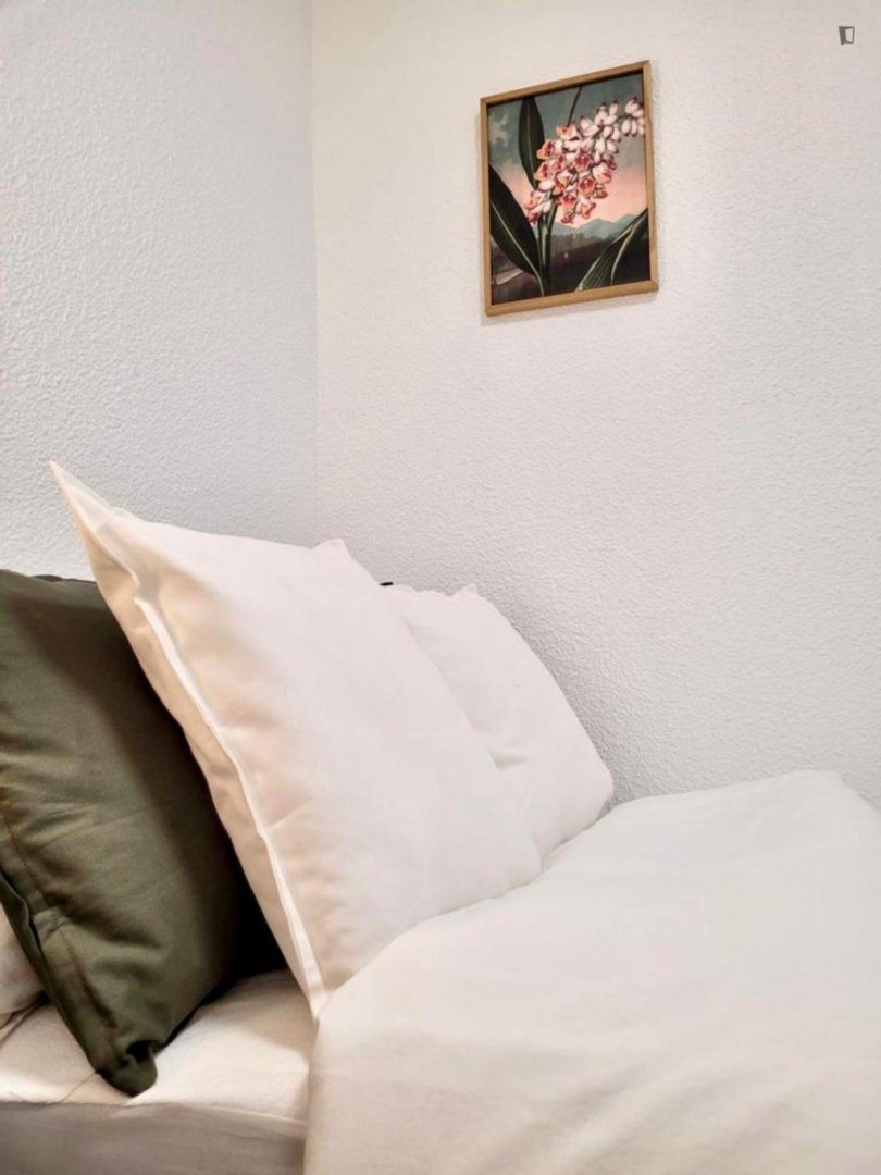 Habitació de lloguer, Madrid