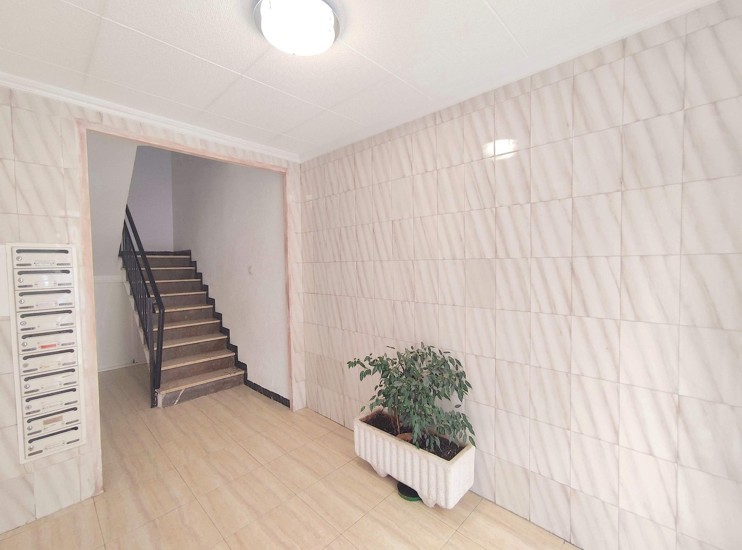 Habitación 98 m², Elche