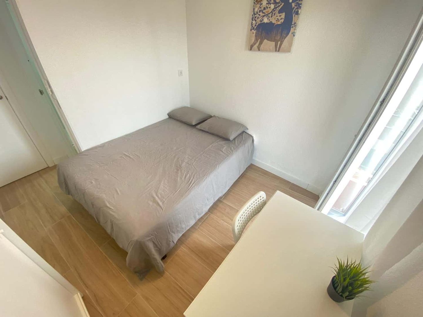 Habitació de lloguer, Madrid