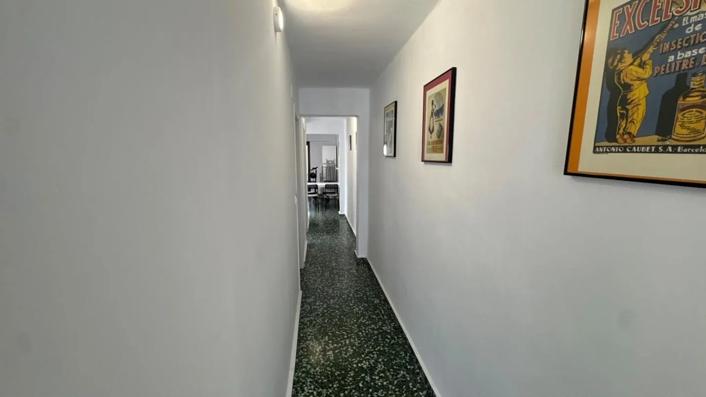 Stanza in affitto, Valencia