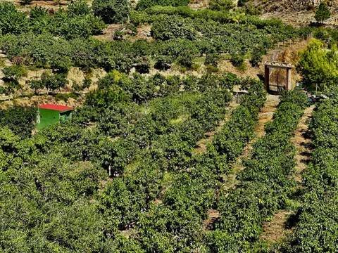 Casa de 139 m² en Almuñécar