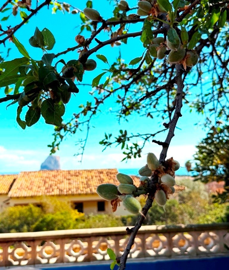 Casa de 300 m² en Calpe