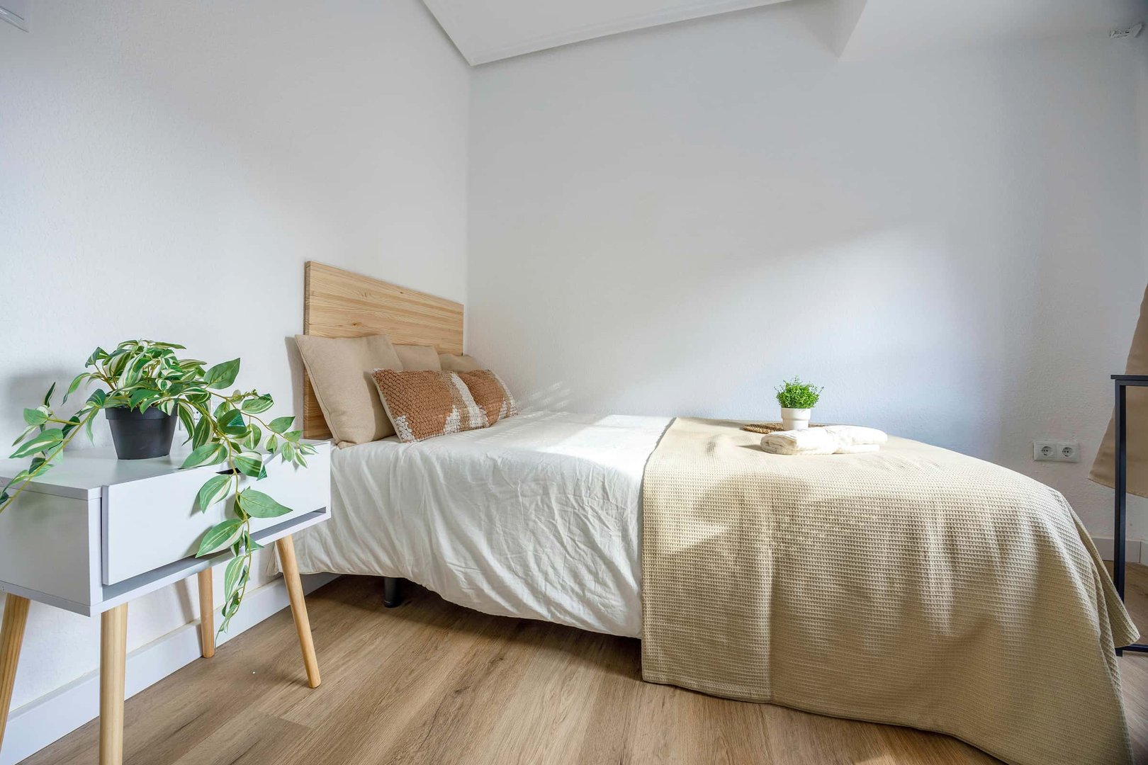 Habitació de lloguer, València