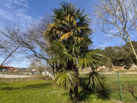 Pis de 60 m² a Llanes