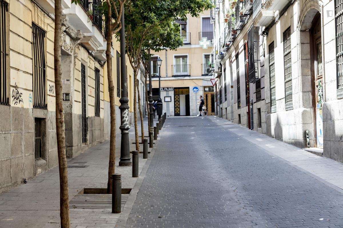 Habitació de lloguer, Madrid