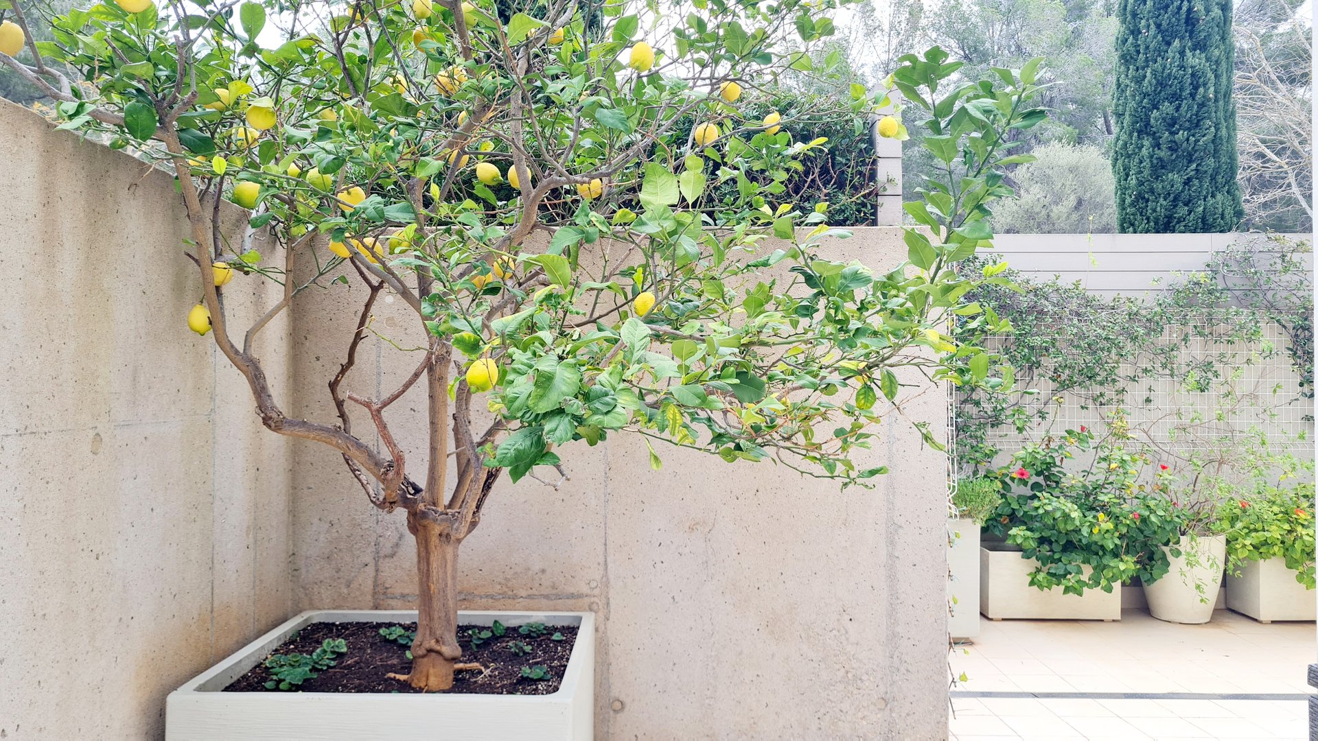 Piso de 264 m² en Calvià
