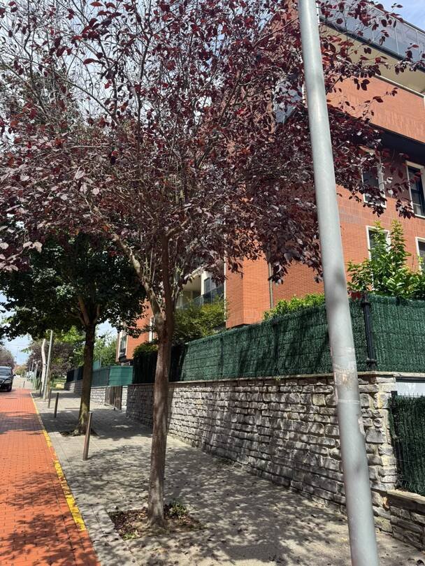 Piso de 80 m² en Urduliz