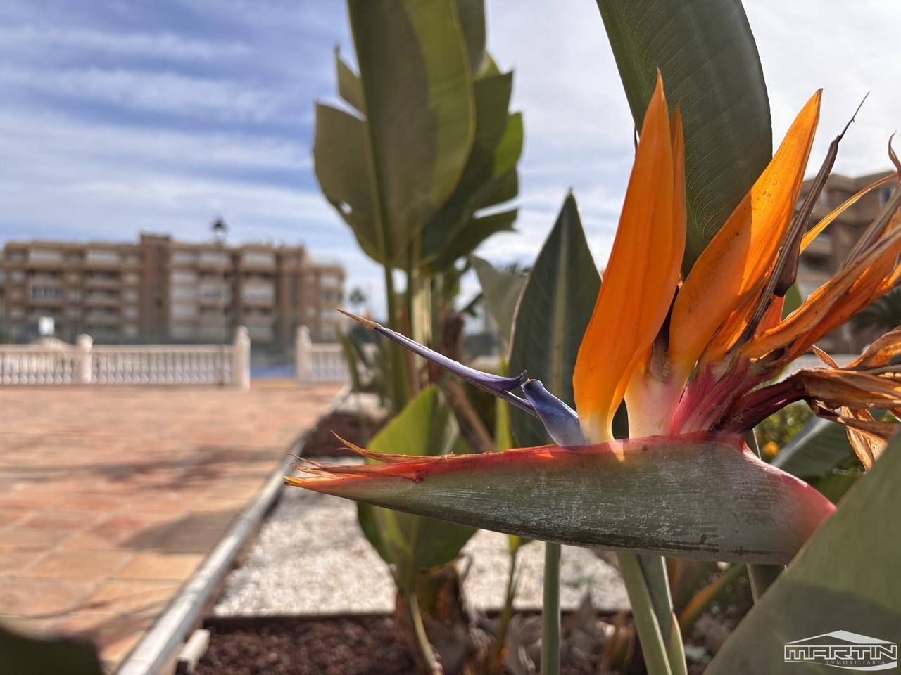 Pis de 45 m² a Torrox
