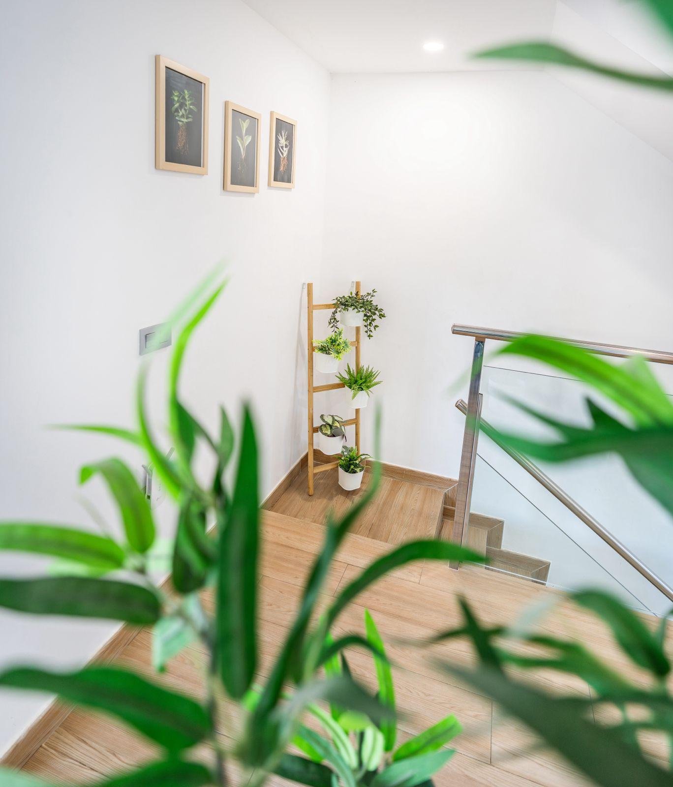 Casa 289 m² a San Miguel de Abona