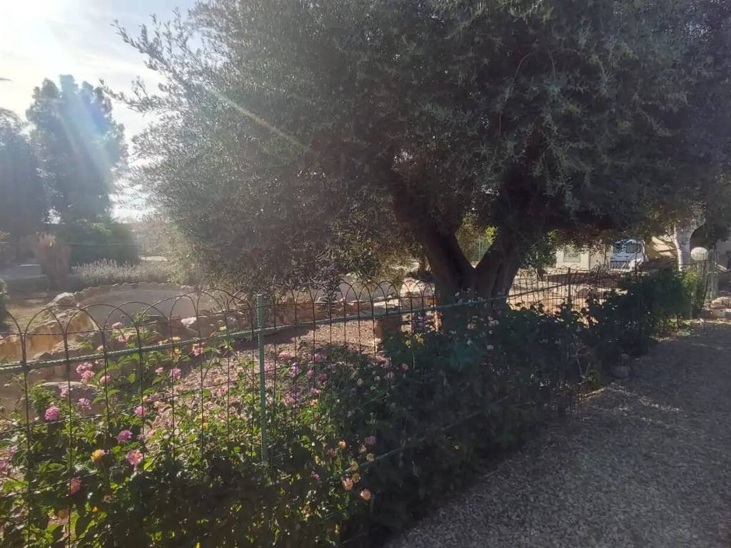 Wohnung 40 m² in Cartagena