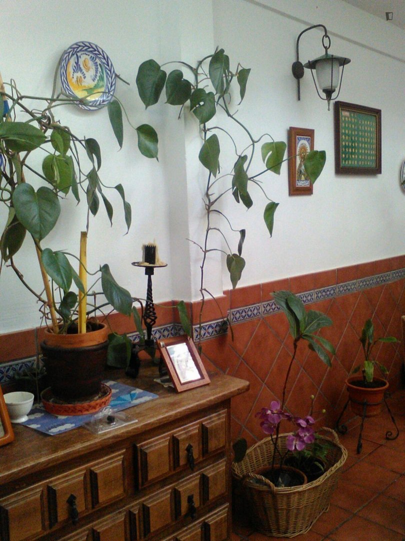 Habitación en alquiler, Sevilla