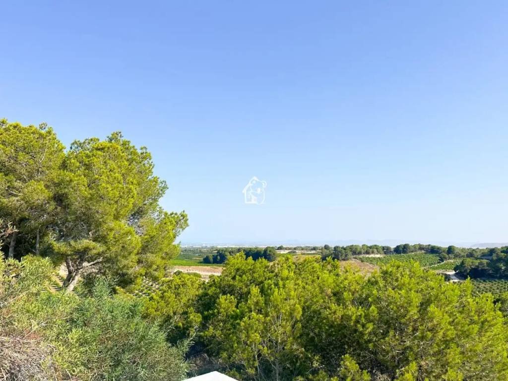 Piso de 500 m² en Pilar de la Horadada