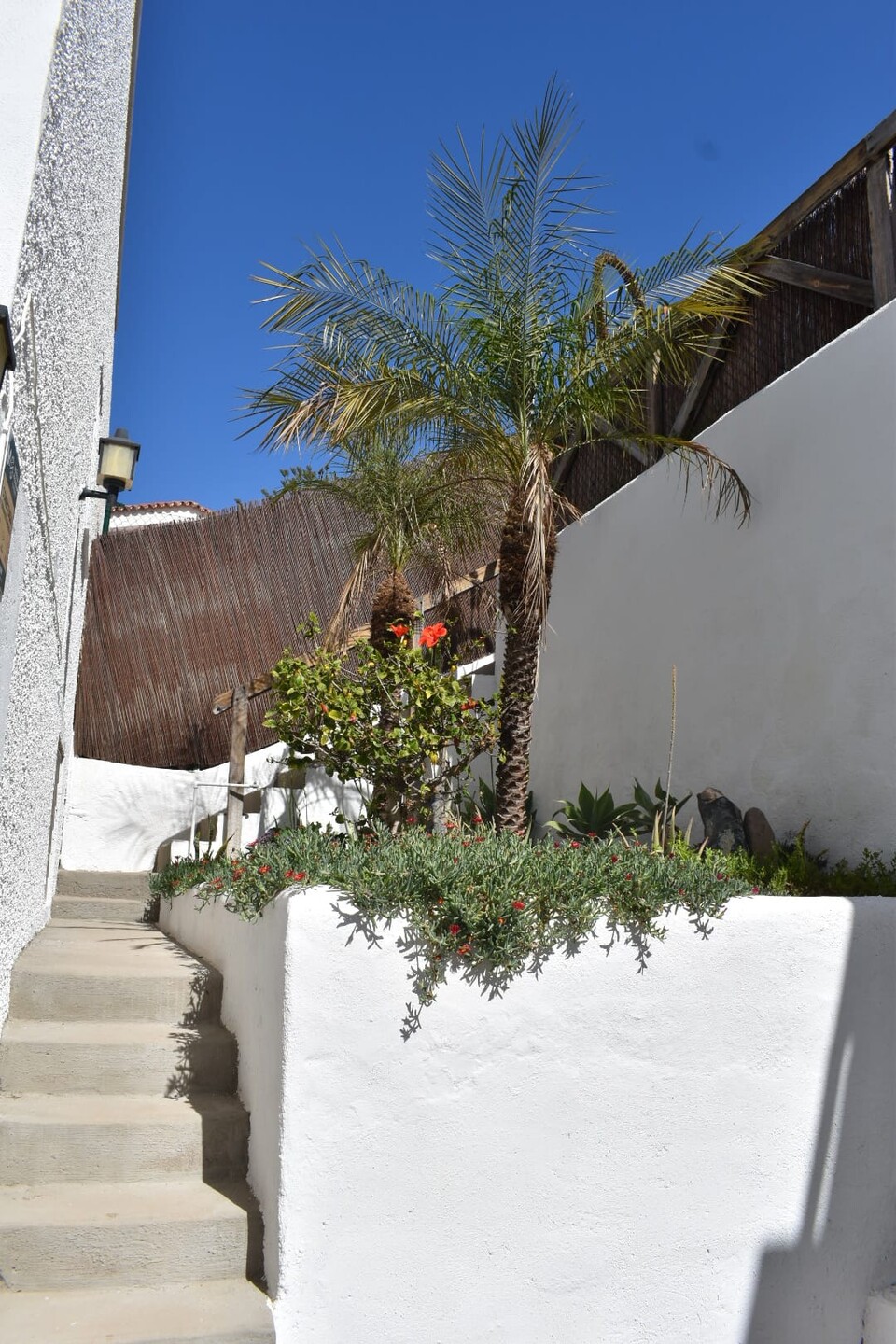 Wohnung 250 m² in Santiago del Teide