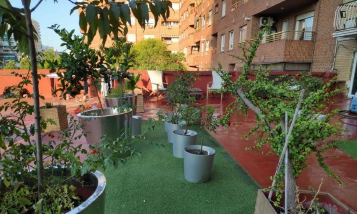 Habitació de lloguer, València