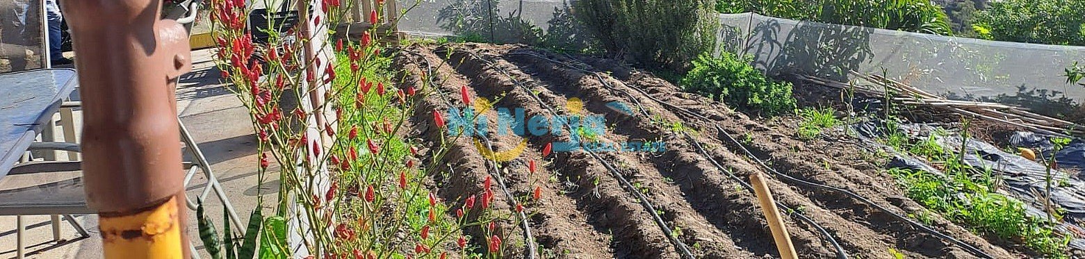 Casa de 400 m² a Torrox