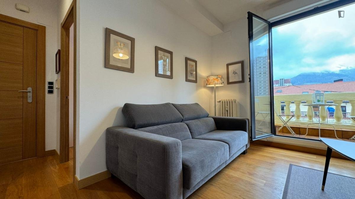 Habitació de lloguer, Bilbao