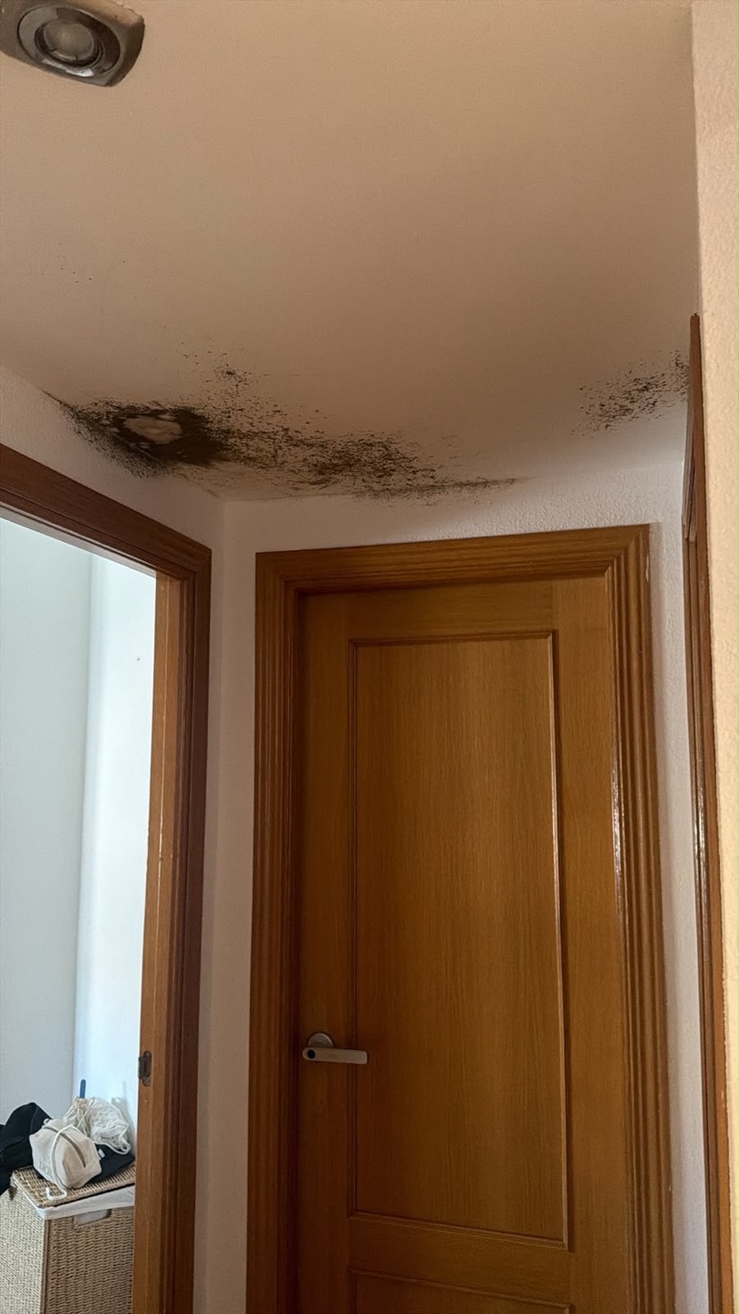 Wohnung 100 m² in Pozuelo de Alarcón