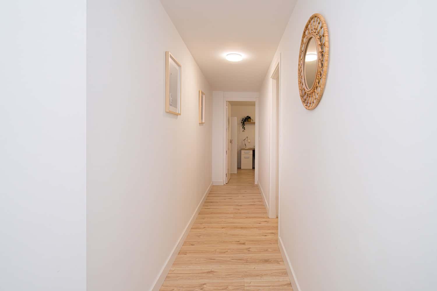 Habitació de lloguer, Elx