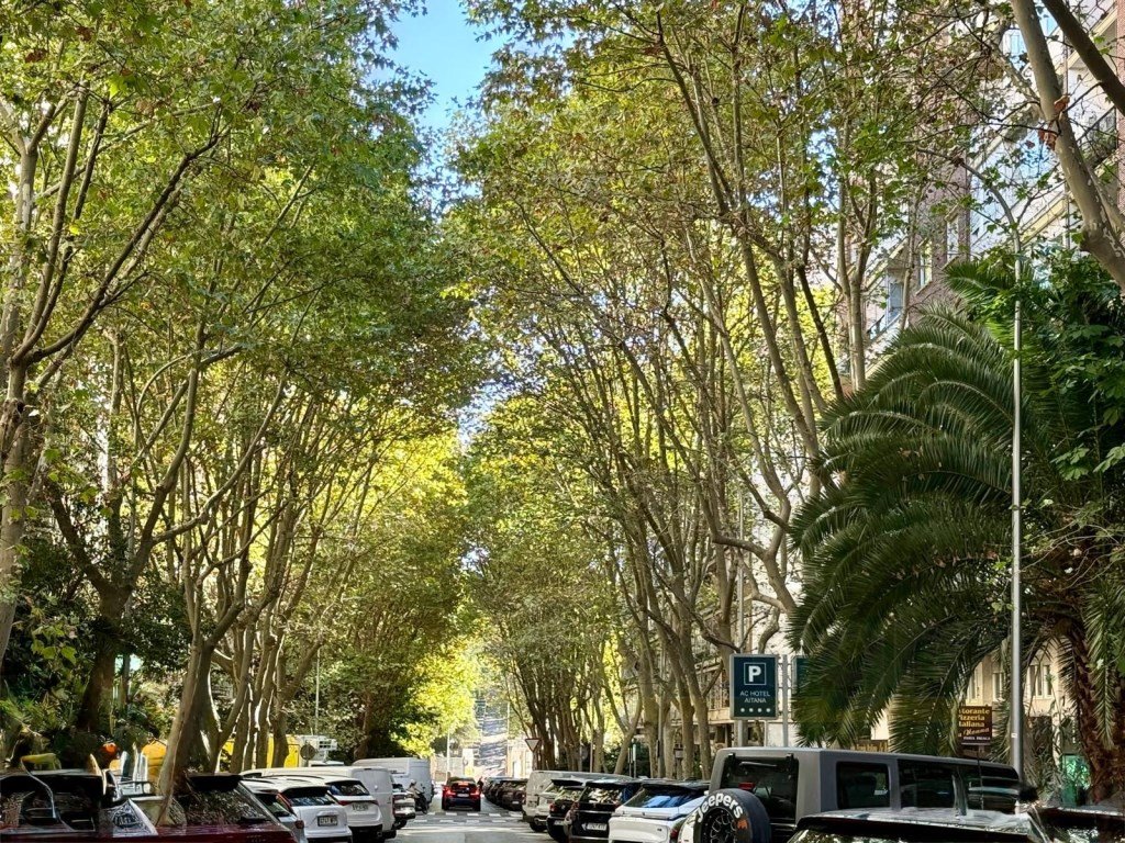 Pis de 187 m² a Madrid
