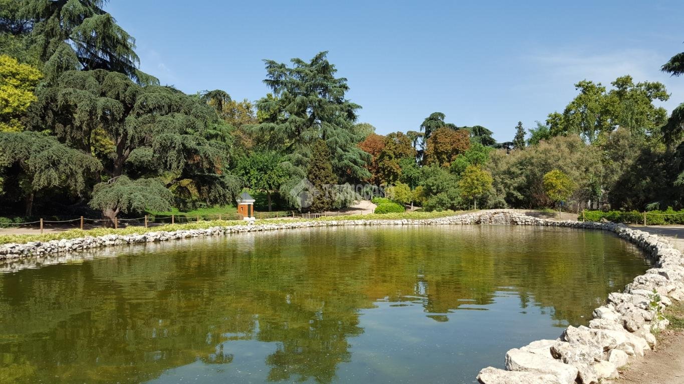 Piso de 22 m² en Madrid