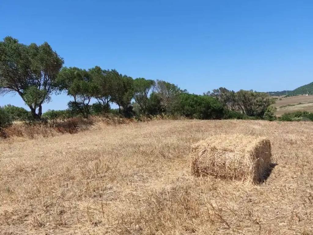 Pis de 200 m² a Medina Sidonia