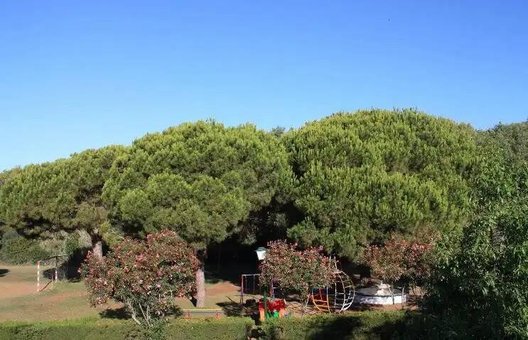 Casa de 180 m² en Estepona