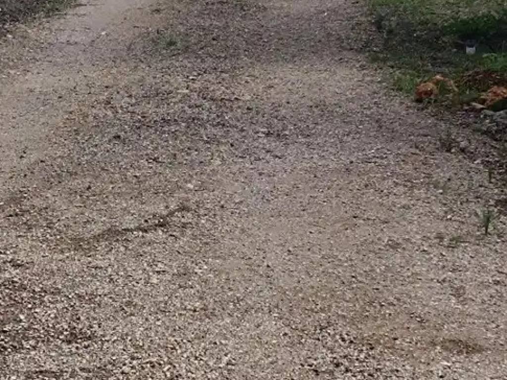 Pis de 100 m² a Petra