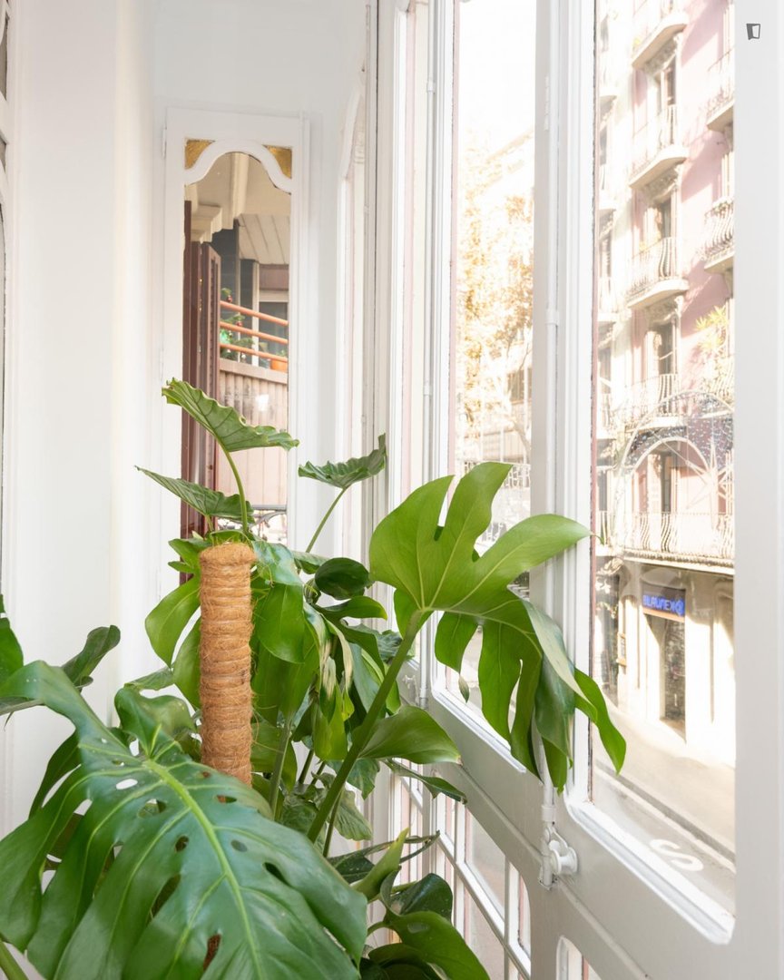 Habitación en alquiler, Barcelona